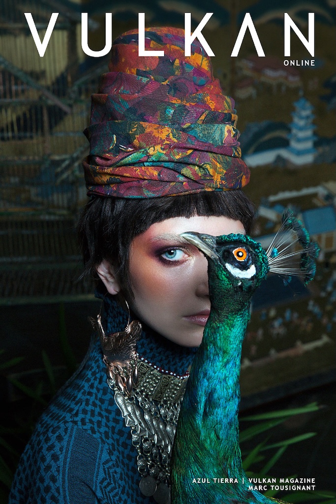 Vulkan Magazine