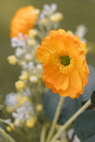 Detall floral